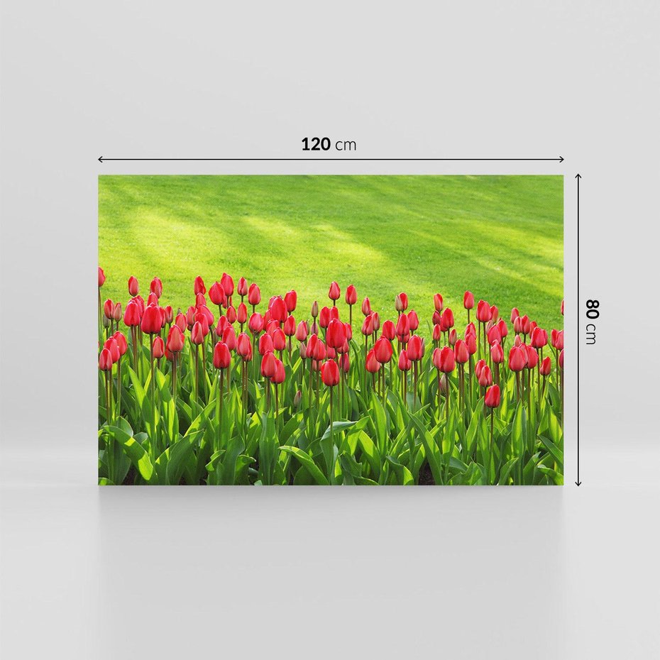 Obraz na płótnie 120x80 - Tulipanowy raj - kwiat, kwiaty