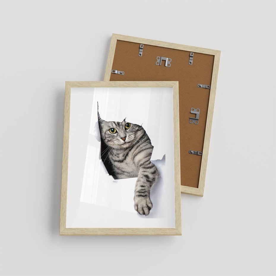 Plakat w ramie 30x40 - Tajemniczy kot i jego świat - kot, dziura - rama drewno