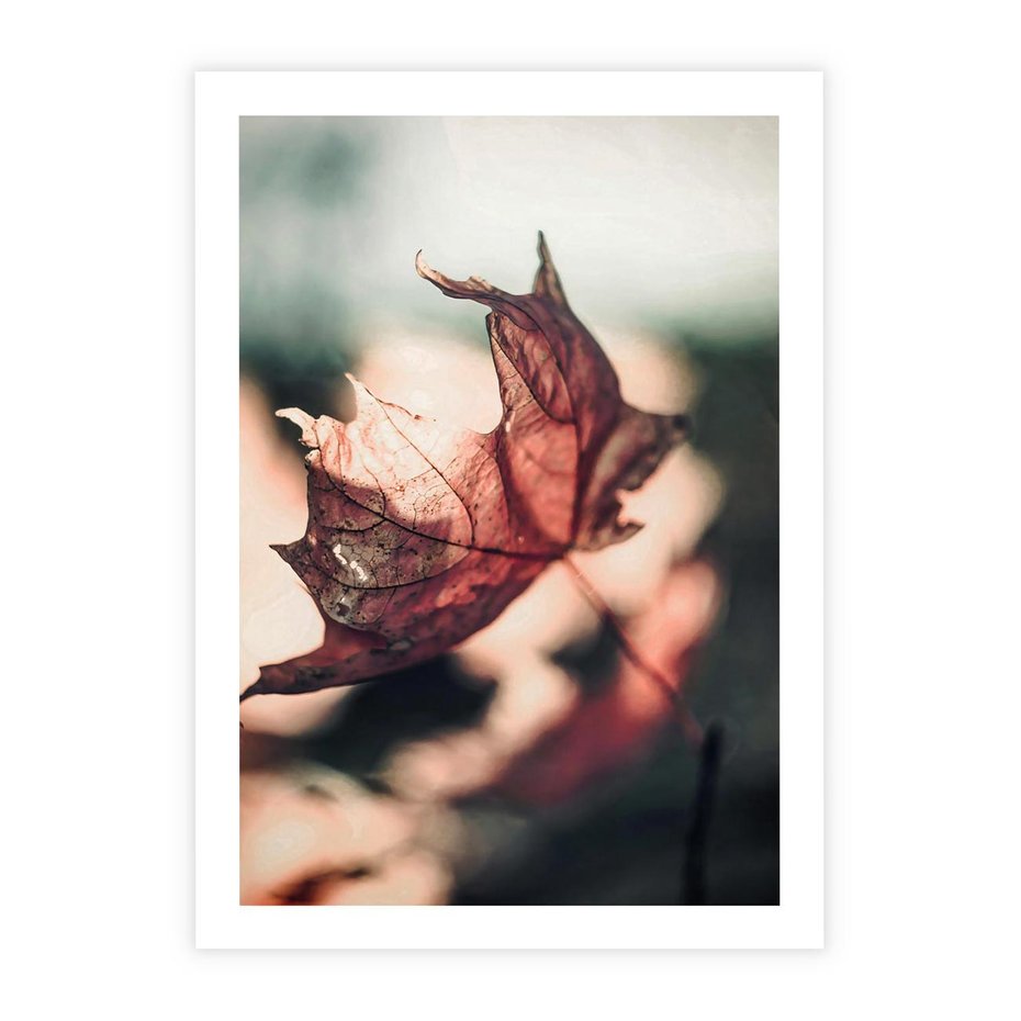 Plakat bez ramy 50x70 - Liść w Jesieni - jesienny liść, czerwony