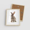 Plakat w ramie 40x50 - Delikatna Zwierzęca Uroda - królik, zwierzę - rama drewno