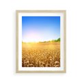 Plakat w ramie 40x50 - Żyzne Pola - pole, pszenicy - rama drewno
