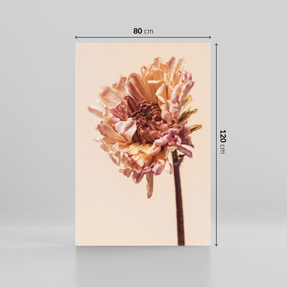 Obraz na płótnie 80x120 - Delikatne piękno - suche, kwiaty