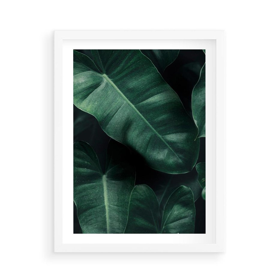 Plakat w ramie 50x70 - Liście Bananowca - minimalizm, zielone liście bananowca - rama biała