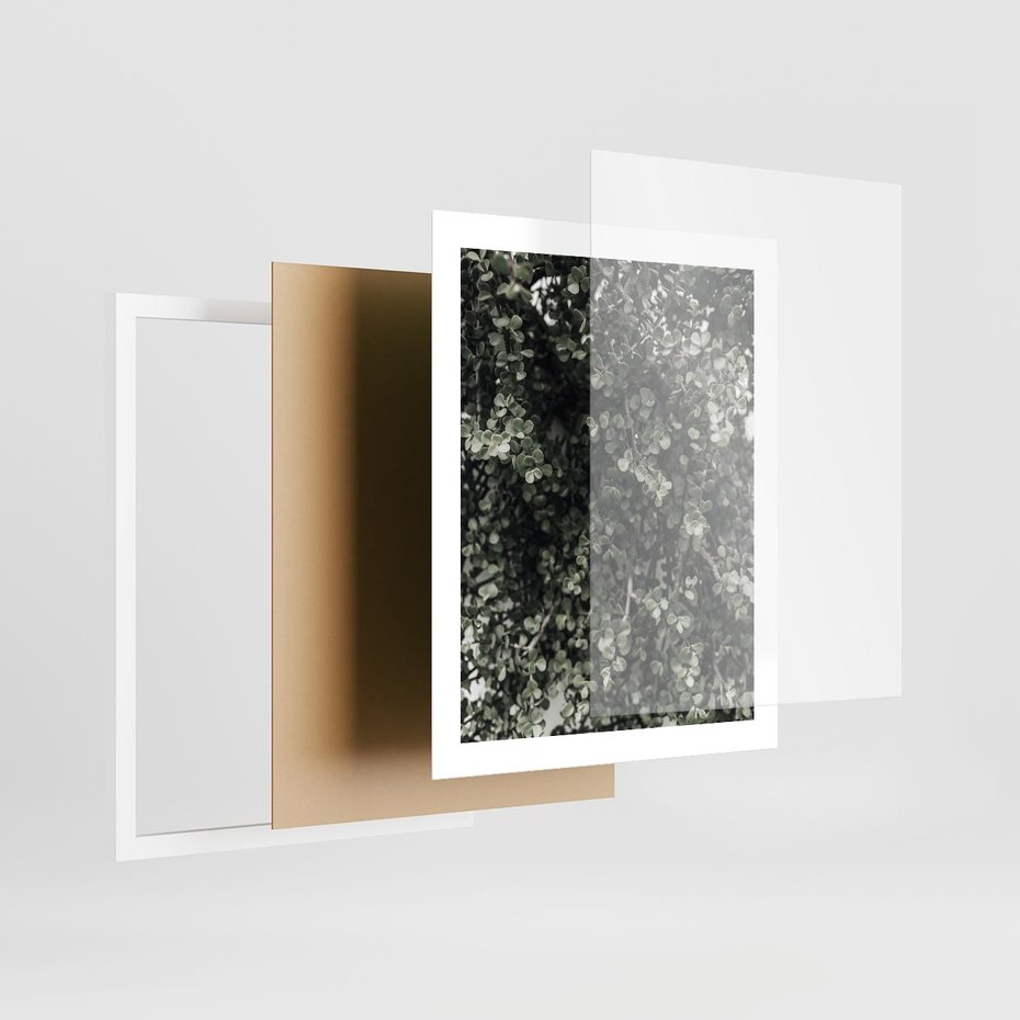 Plakat w ramie 40x50 - Jasnozielone Liście i Gałązki - liście, gałązki - rama biała
