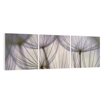 Obraz na płótnie 150x50 - Makro dmuchawiec - piękno drobnych detali - dmuchawce, makro