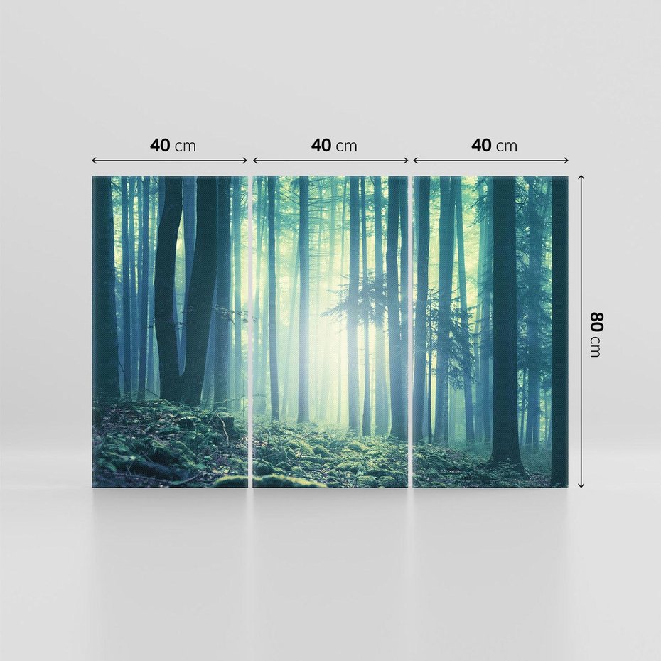 Obraz na płótnie 120x80 - Mistyczny las w mgle - las, mgła