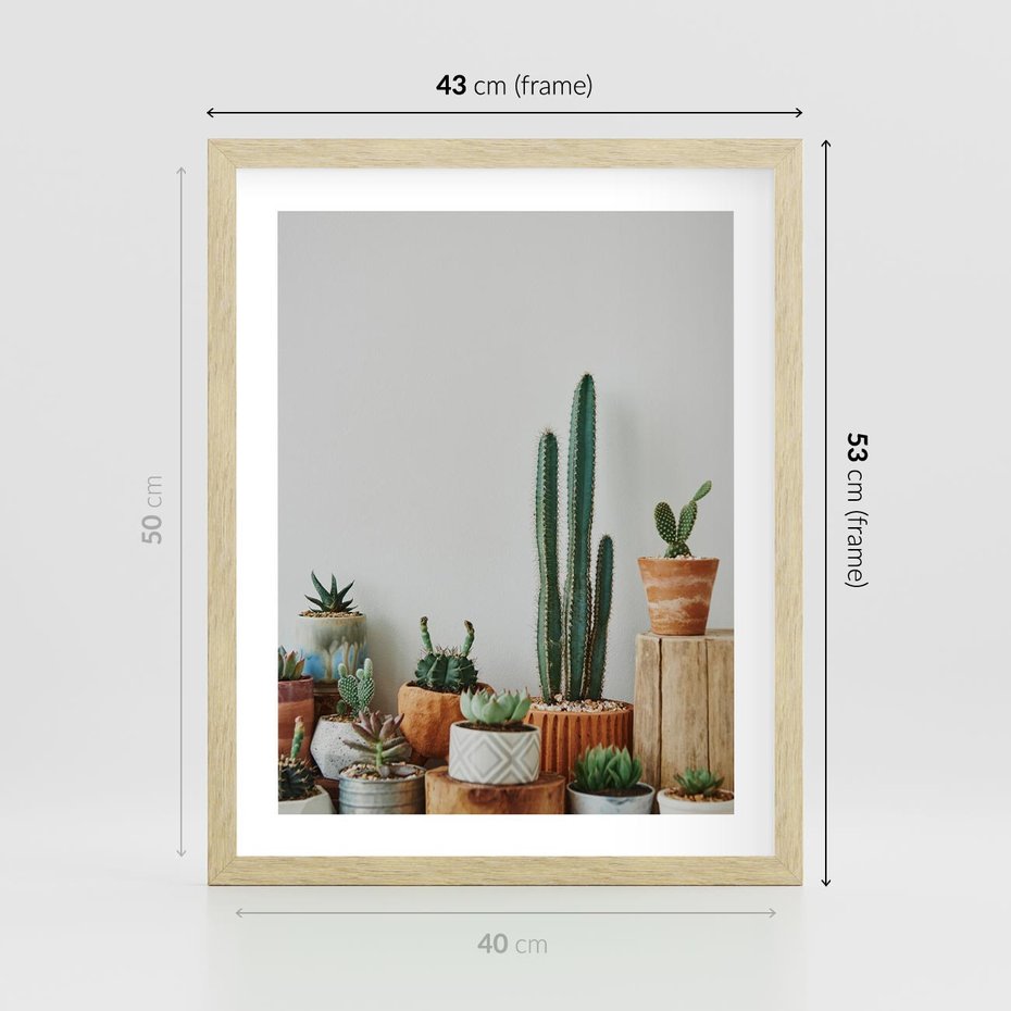 Plakat w ramie 40x50 - Naturalna Harmonia - kaktusy, liście - rama drewno