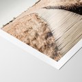 Plakat bez ramy 30x40 - Spacer Ścieżką w Suchych Trawach - ścieżka wśród suchych traw