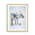 Plakat w ramie 50x70 - Magia Świąt - renifer na śniegu, śnieg - rama drewno
