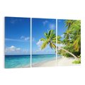 Obraz na płótnie 120x80 - Rajskie Malediwy: Plaża pod palmami - Malediwy, plaża
