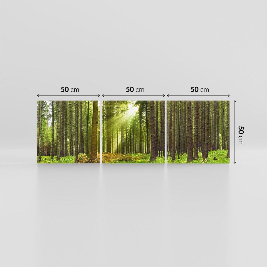 Obraz na płótnie 150x50 - Spokój wśród drzew: las w odcieniach zieleni - las, drzewa