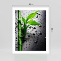Plakat bez ramy 40x50 - Bambusowa Harmonia - bambus, liście