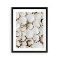 Plakat w ramie 40x50 - Białe Muszle - białe muszle, ujęcie z góry - rama czarna