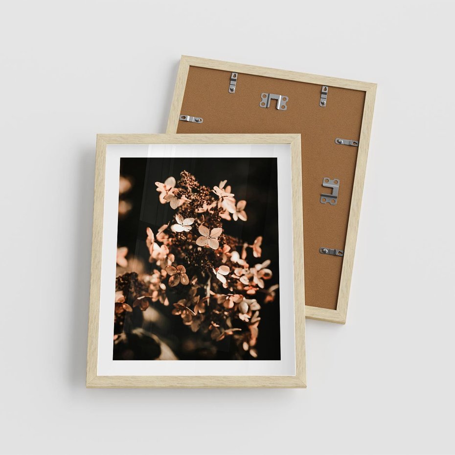 Plakat w ramie 40x50 - Hortensja - Suchy Kwiat w Sztuce - hortensja, suchy kwiat - rama drewno