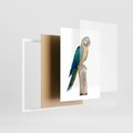 Plakat w ramie 30x40 - Kolorowa papuga w locie - papuga, ptak - rama biała