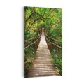 Obraz na płótnie 80x120 - Przez Dżunglę - most, linowy