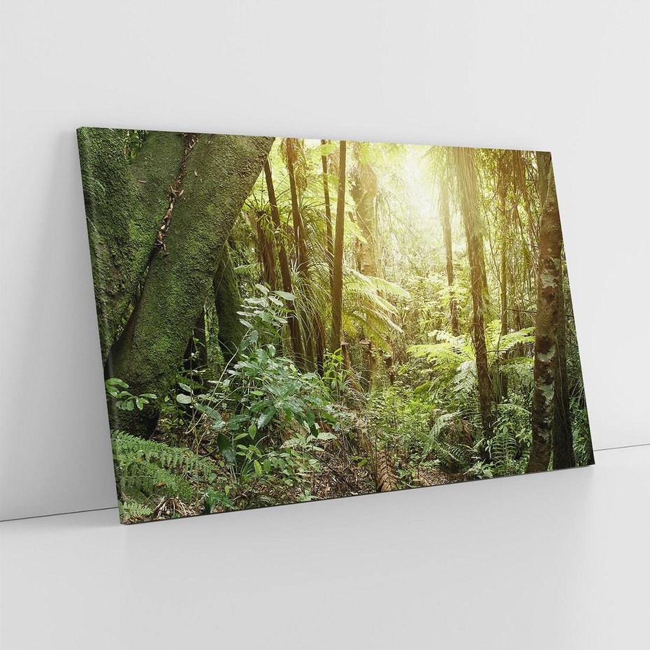 Obraz na płótnie 70x50 - Uroczysty Las Drzew - las, drzewa