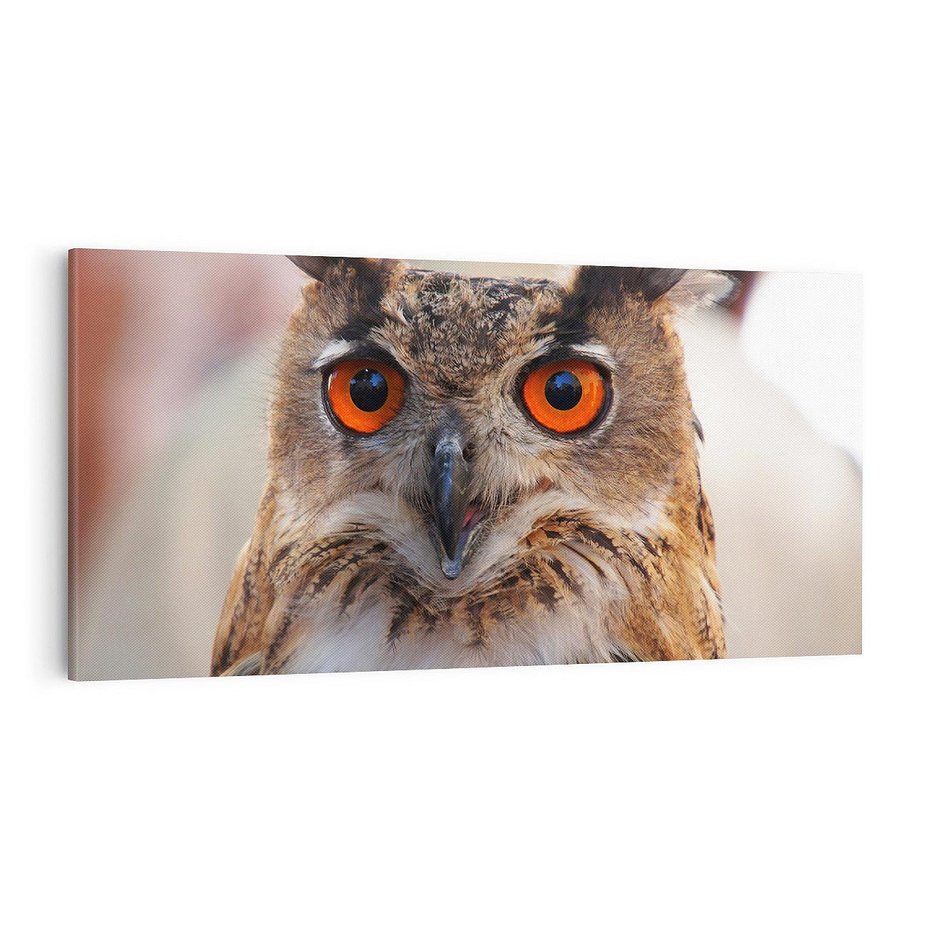 Obraz na płótnie 100x50 - Mądra sowa w locie - sowa, ptak