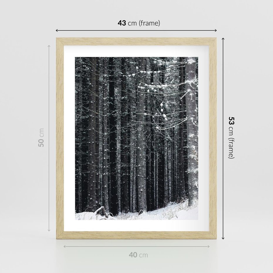 Plakat w ramie 40x50 - Leśna Cisza: Malowniczy Pejzaż Zimą - las zimą, ośnieżone pnie drzew - rama drewno