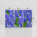 Obraz na płótnie 120x80 - Urok Lawendy - lawenda, kwiat