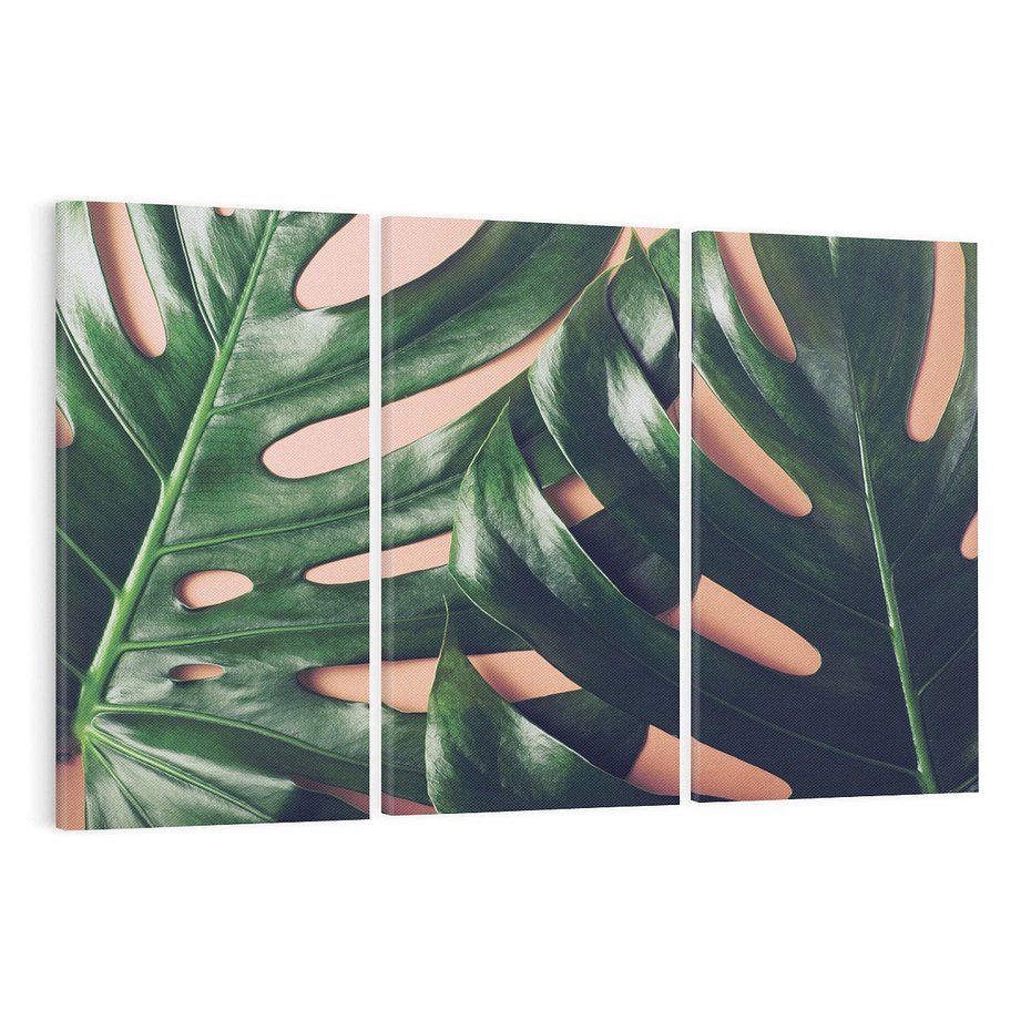 Obraz na płótnie 120x80 - Monstera Liście - monstera, liście