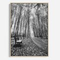 Obraz w ramie 70x100 - Spadające Liście - czarno białe zdjecie, park - rama drewno