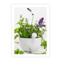 Plakat bez ramy 21x30 - Kwiaty i zioła w restauracji - kwiaty, zioła
