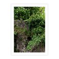 Plakat bez ramy 40x50 - Żywiołowa Zieleń - mur, liście