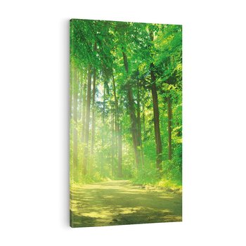 Obraz na płótnie 80x120 - Urok lasu na drodze - las, drzewa