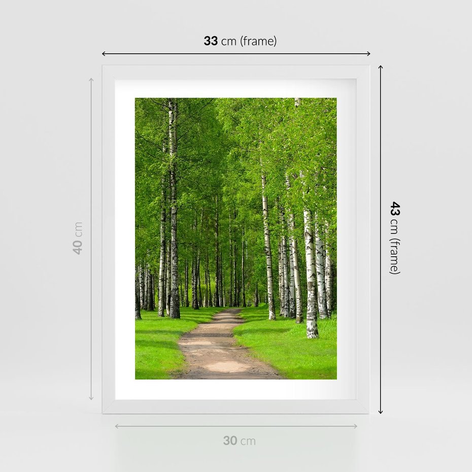 Plakat w ramie 30x40 - Spacer Ścieżką w Urokliwym Lesie - las, ścieżka - rama biała