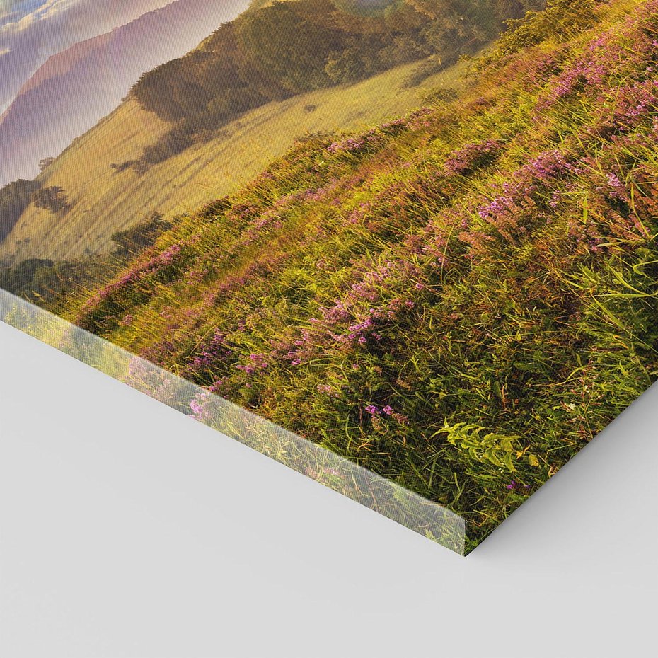 Obraz na płótnie 70x70 - Pejzaż na łące - pejzaż, łąka