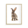Plakat w ramie 30x40 - Delikatna Zwierzęca Uroda - królik, zwierzę - rama drewno