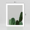Plakat bez ramy 40x50 - Majestatyczne Wysokości - kaktusy, liście