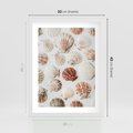 Plakat w ramie 30x40 - Morska Delikatność: Muszelki na Białym Tle - kompozycja, morskie muszelki na białym tle - rama biała