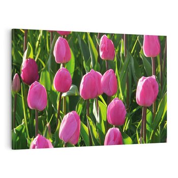 Obraz na płótnie 70x50 - Tulipanowa harmonia - tulipany, kwiaty