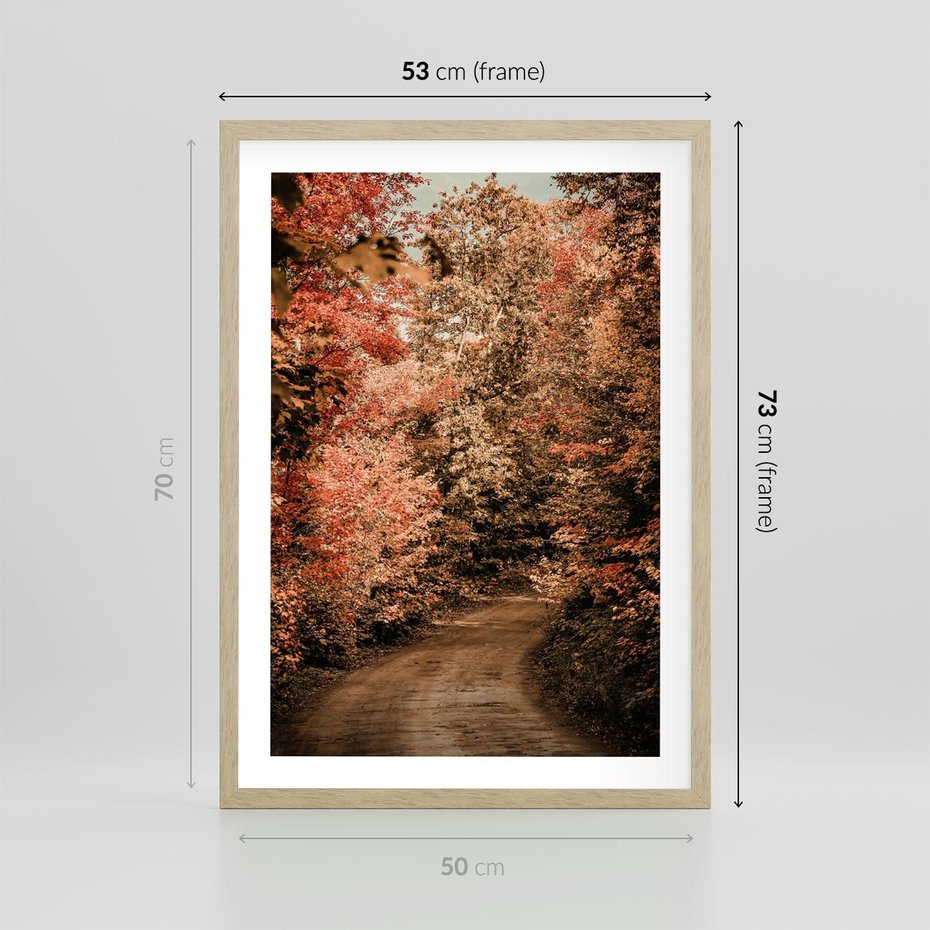 Plakat w ramie 50x70 - Obraz przedstawia jesienne drzewa i czerwone liście na ścieżce w lesie. Ta sceneria doskonale oddaje urok i kolorystykę jesieni w lesie. - las, jesień - rama drewno
