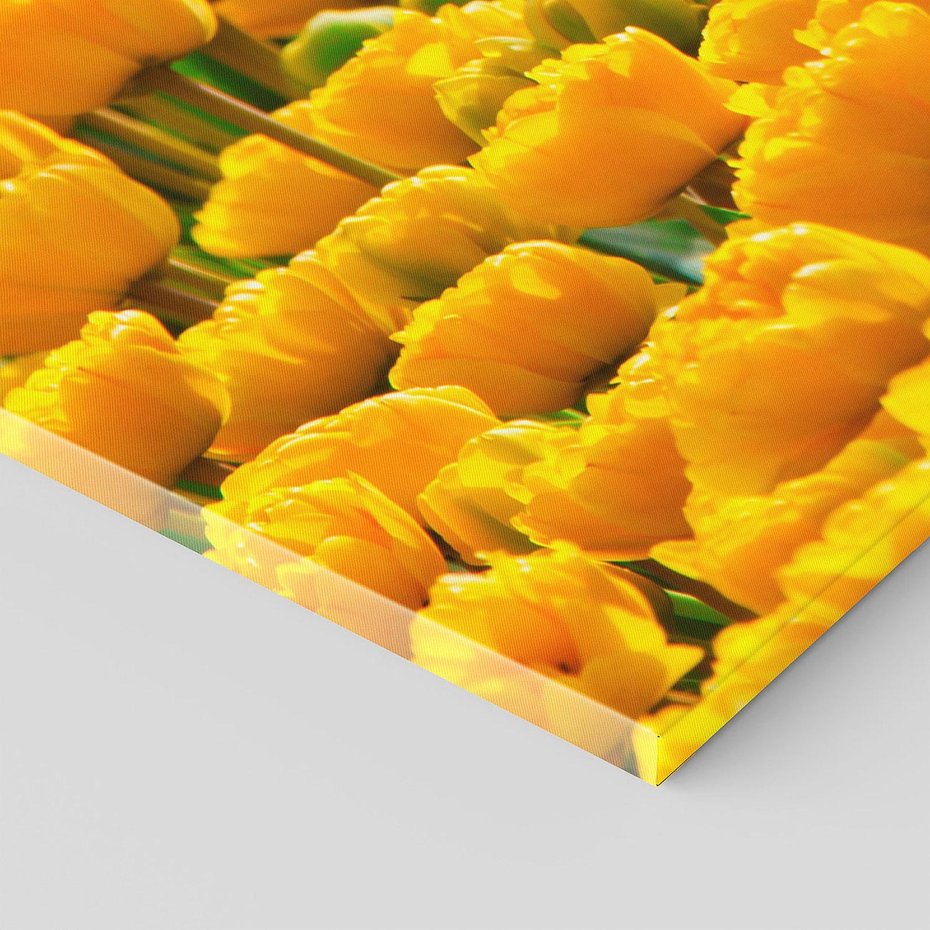 Obraz na płótnie 150x50 - kwiatowa elegancja - tulipany, kwiat