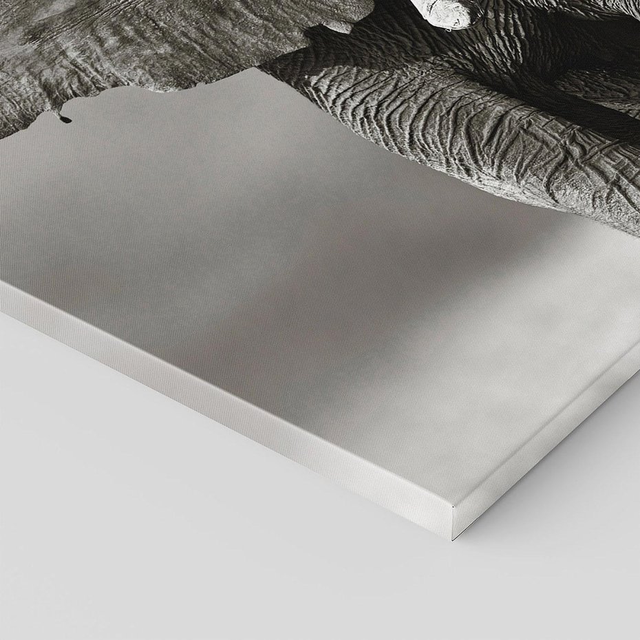 Obraz na płótnie 120x80 - Majestatyczny słoń Afryki - słoń, Afryka