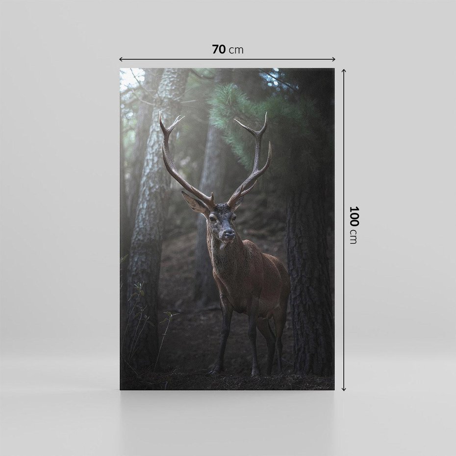 Obraz na płótnie 70x100 - Jeleń wśród lasu - jeleń, las