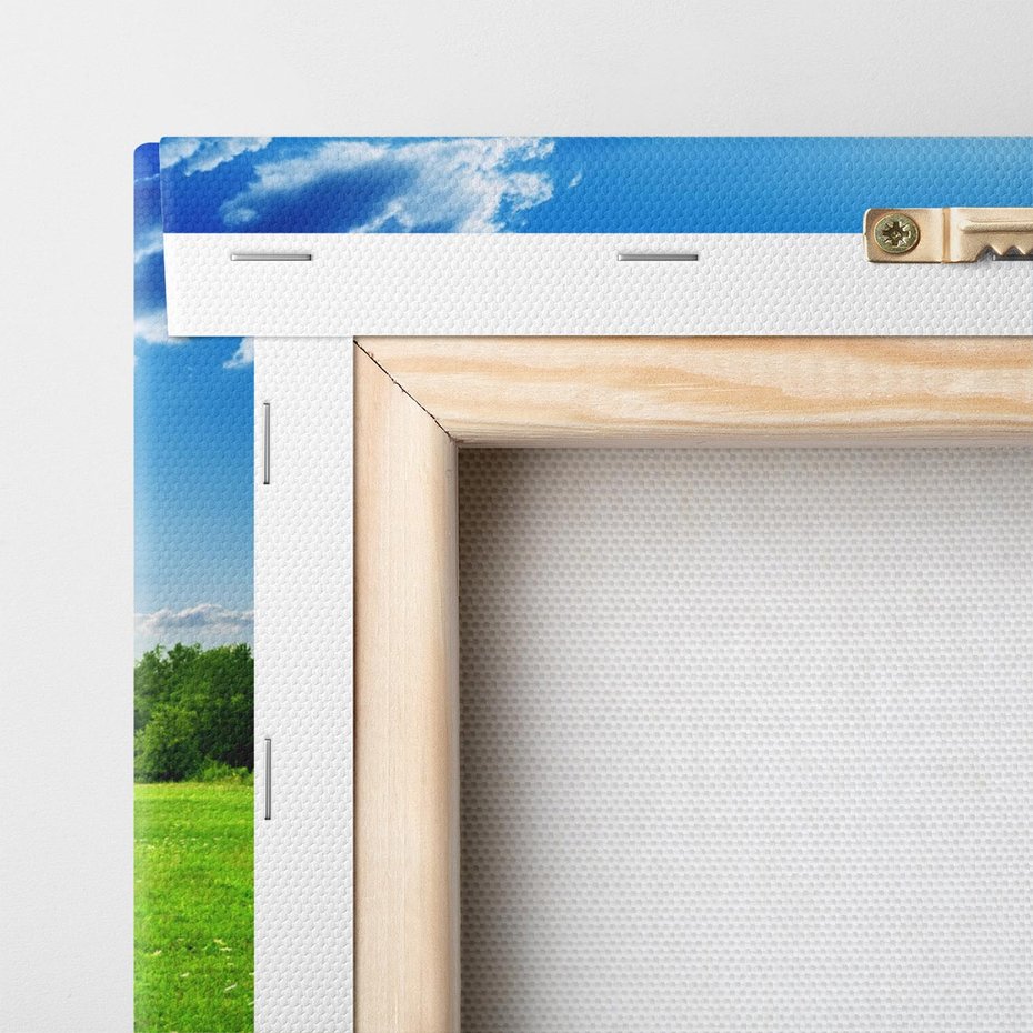 Obraz na płótnie 120x80 - Idylla na łące drzew - łąka, drzewa