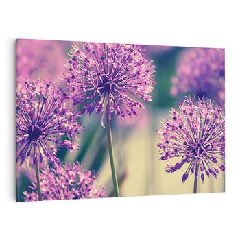 Obraz na płótnie 120x80 - Kwiatowa łąka w pełnym rozkwicie - kwiaty, łąka