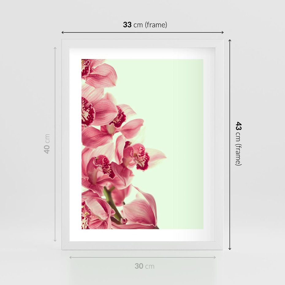 Plakat w ramie 30x40 - Orchidea - delikatne kwiaty - orchidea, kwiaty - rama biała