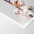 Plakat bez ramy 30x40 - Spokojna Gałązka Bawełny - gałązka bawełny, prosta spokojna fotografia