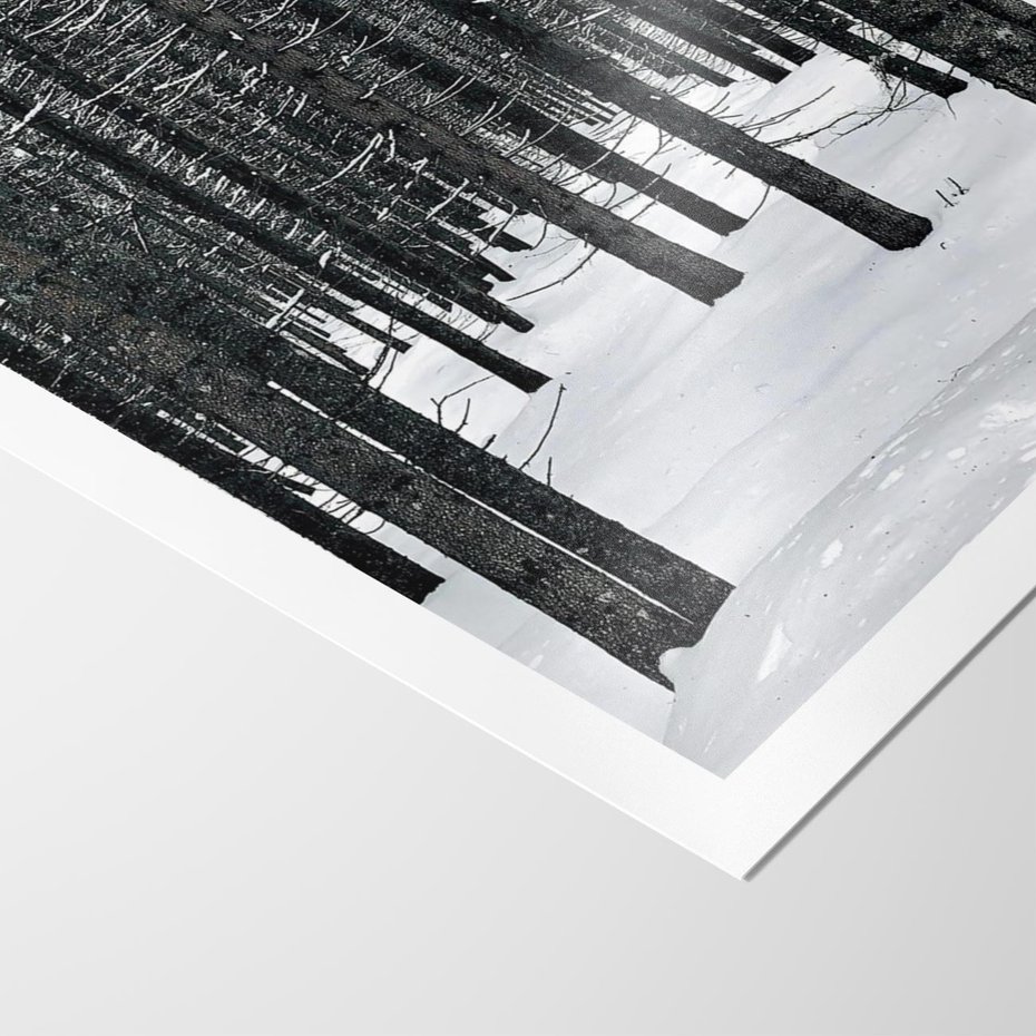 Plakat bez ramy 30x40 - Zimowe Drzewa: Śnieg na Pniach - drzew w zimi, pnie drzew