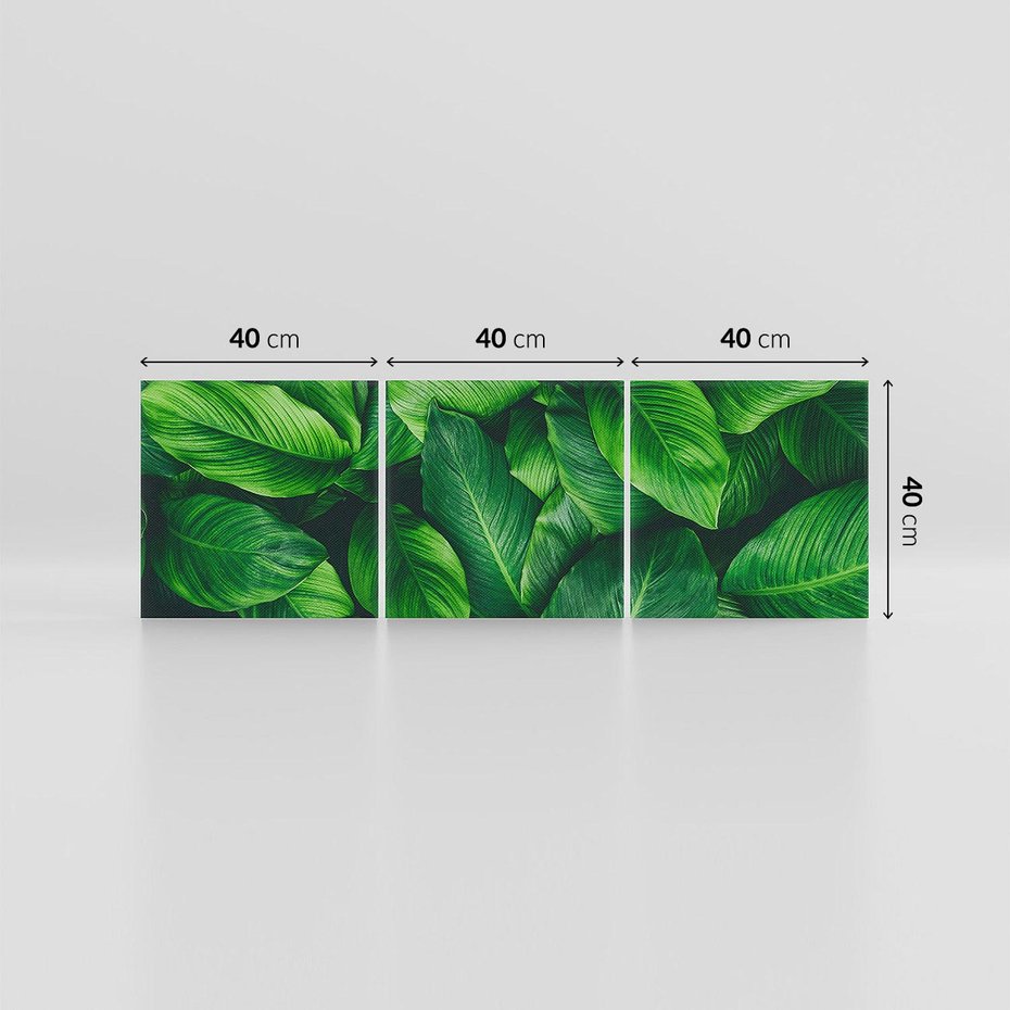Obraz na płótnie 120x40 - Palma Liście Kwiat - palma, liście