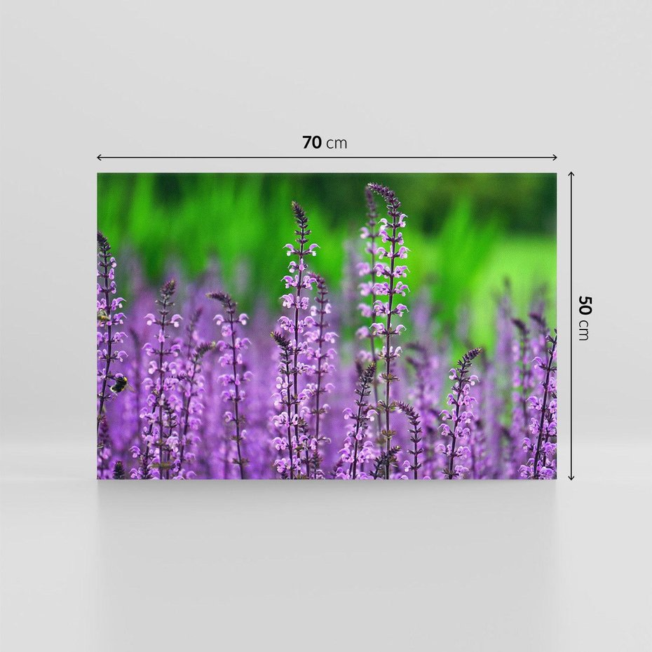Obraz na płótnie 70x50 - Lawenda magia purpury - lawenda, kwiaty