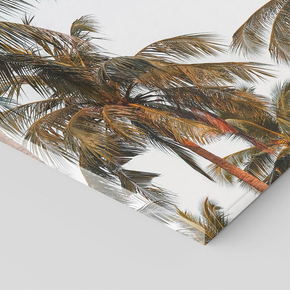 Obraz na płótnie 60x60 - Palmy - tęsknota za Hawajami - palmy, Hawaje