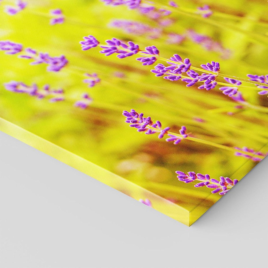 Obraz na płótnie 100x70 - Delikatność natury - lawenda, kwiaty