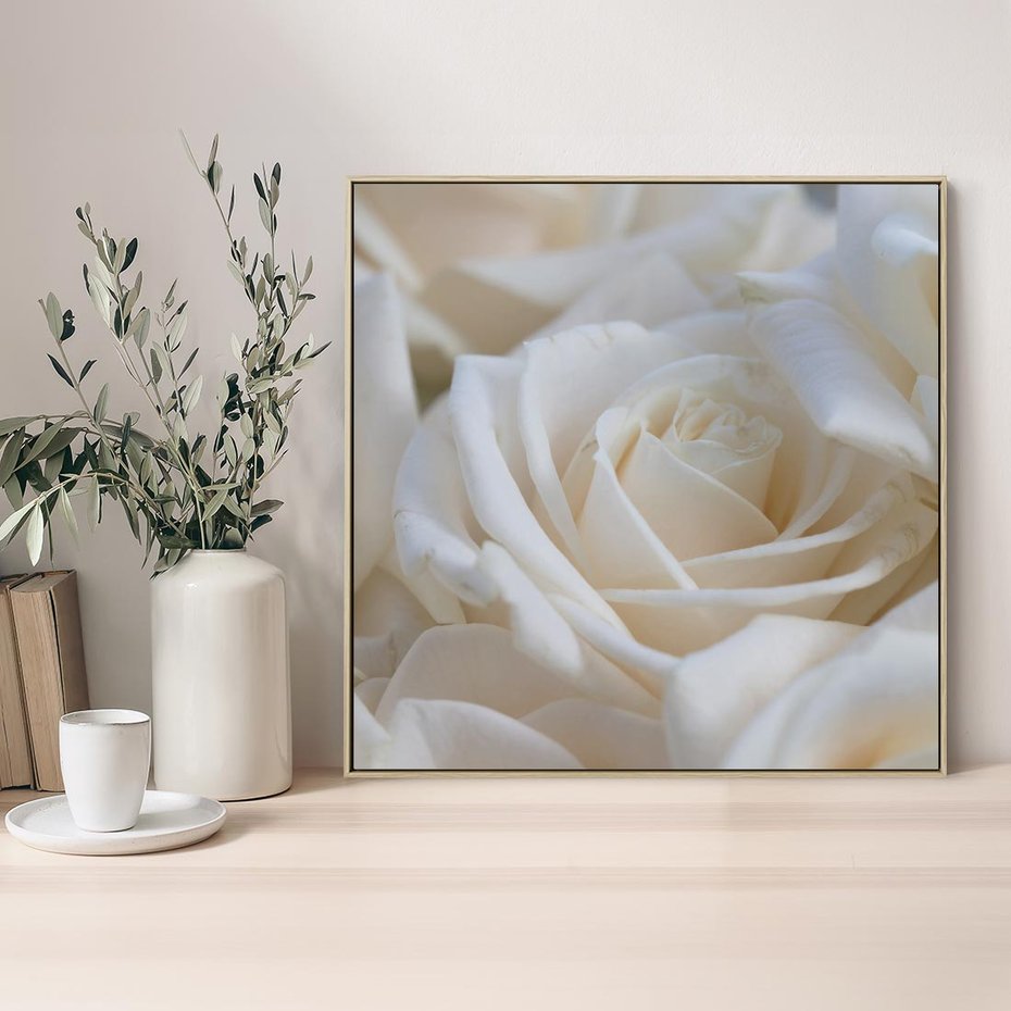 Obraz w ramie 50x50 - Białe róże piękności - białe, róże - rama drewno