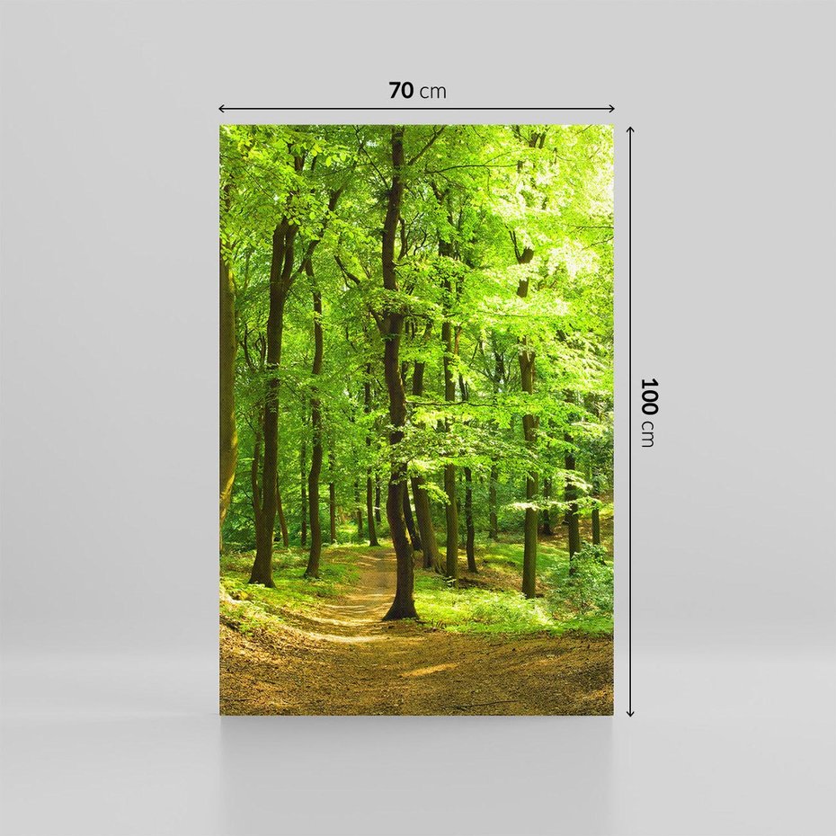 Obraz na płótnie 70x100 - Mistyka leśnych drzew - las, drzewa